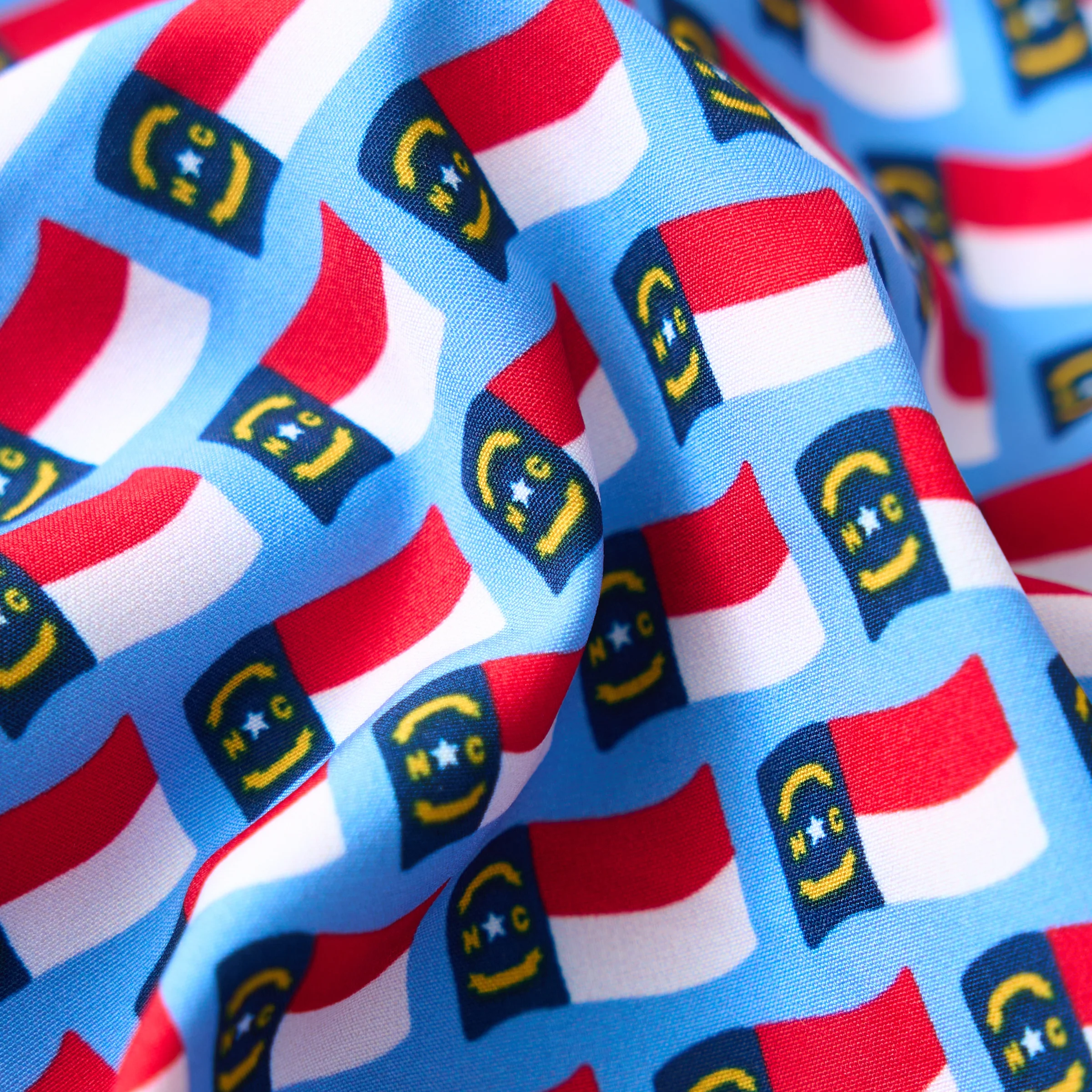 The Blue Ridge NC Flag 5.5 Inch Lined Swim Shorts - Image 2