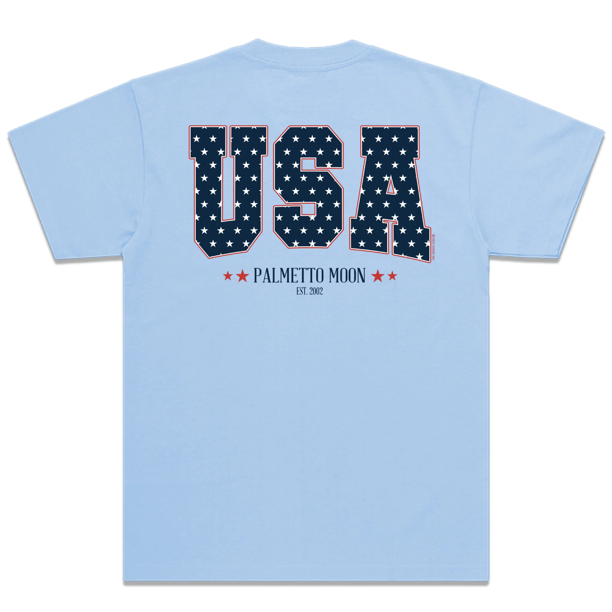 Star Filled USA Short Sleeve T-Shirt in Light Blue