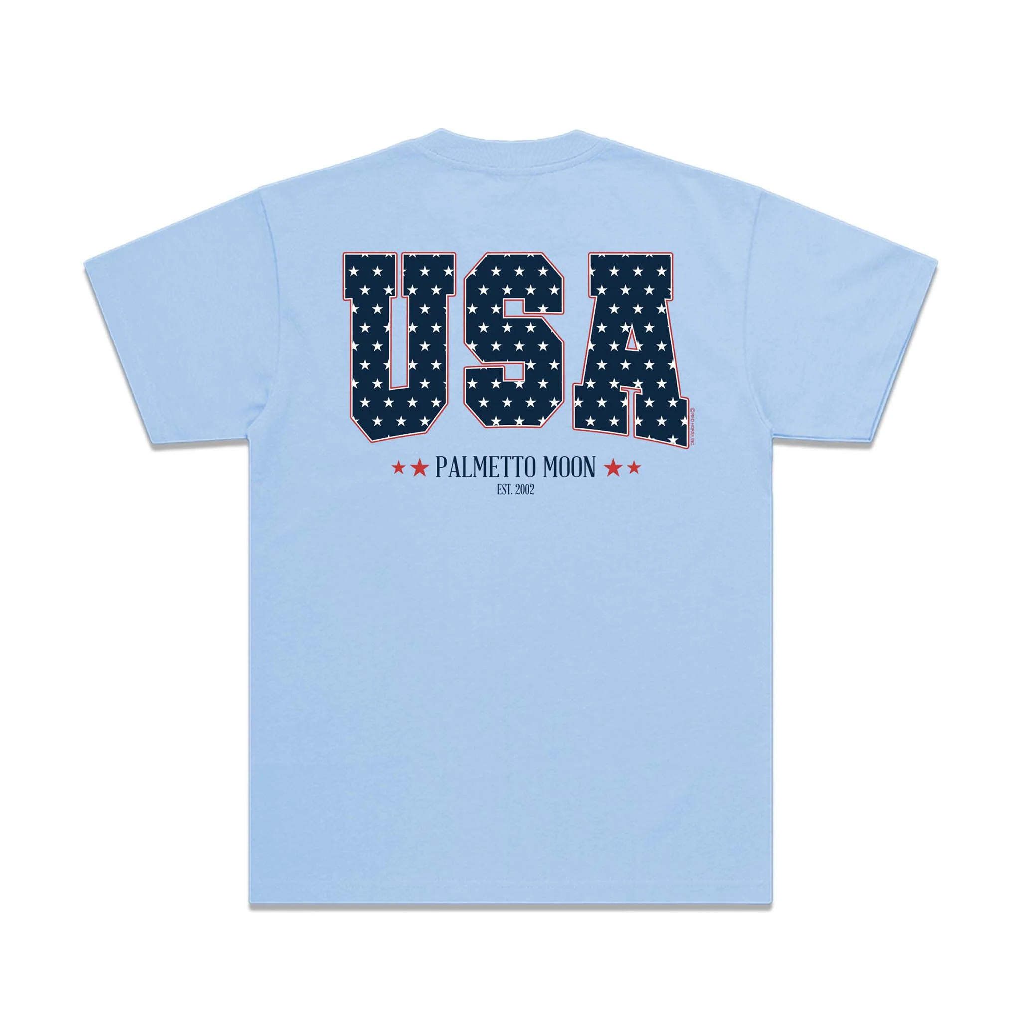 Youth Star Filled USA Short Sleeve T-Shirt in Light Blue